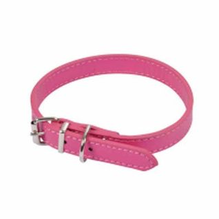 Collier Pour Chien "design Uni" 30cm Fuchsia