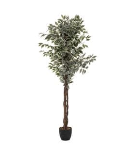 Plante Artificielle Ficus En Pot H 180 Cm