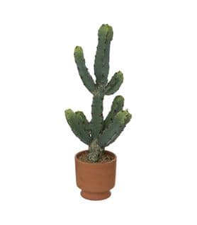 Plante Artificielle Cactus Dans Pot En Terre Cuite H 49 Cm