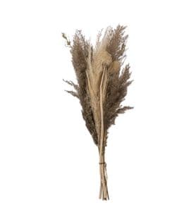 Bouquet De Pampas Naturelles Et Séchées D. 18 X H. 58 Cm