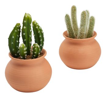 Cactus pot H. 17 cm UTIA Terracotta
