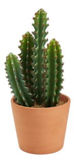 Cactus pot terra H.  30 cm UNIA Terracotta