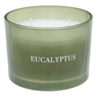 Bougie Parfumée Déco "cosy" 280g Eucalyptus