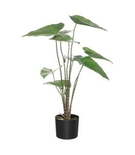Plante Artificielle Zebrina En Pot H 74 Cm