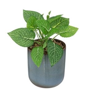 Plante Verte Artificielle Pot En Céramique Bleue Émaillée H 16 Cm