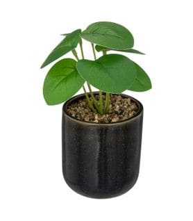 Plante Verte Artificielle Pot En Céramique Noire Émaillée H 16 Cm
