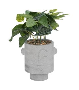 Plante Artificielle Visage Pot Gris Clair H 26 Cm