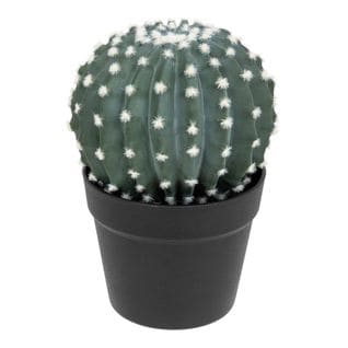 Plante Artificielle Cactus En Pot H 25 Cm