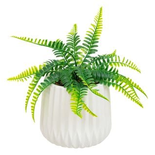 Plante Artificielle Fougère Dans Pot En Céramique H 30 Cm