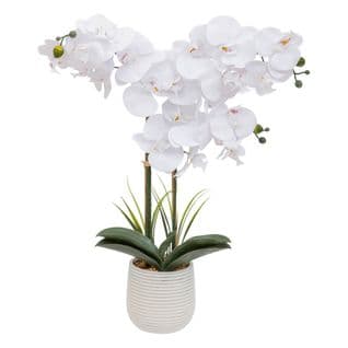 Plante Artificielle Orchidée Blanche Pot En Céramique Striée H 65 Cm