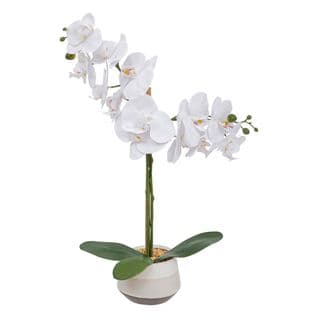 Plante Artificielle Orchidée Blanche Pot En Céramique Bicolore H 52 Cm
