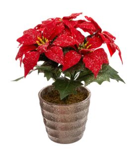 Plante Artificiel Poinsettia Étoile De Noël Rouge Pailleté En Pot  H 22 Cm