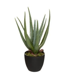 Plante Artificielle Aloe Vera En Pot H 42 Cm