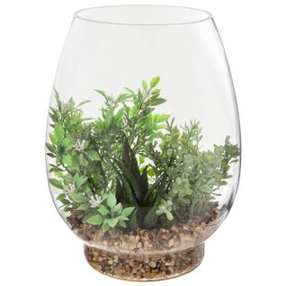 Terrarium H. 25 cm TENERIFE Vert