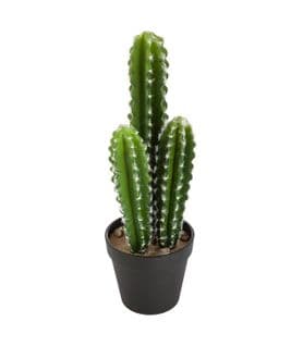 Plante Artificielle Cactus En Pot H 38 Cm