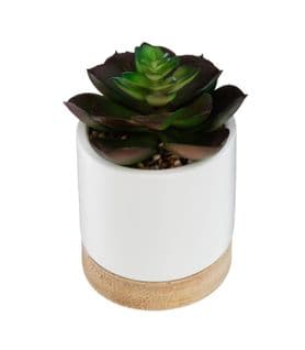 Plante Artificielle Succulente Pot Céramique Et Bois