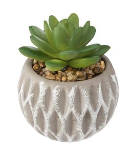 Plante Artificielle Succulente En Pot D 8 X H 9 Cm