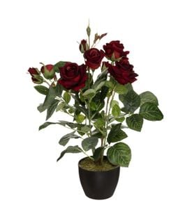 Plante Artificielle Rosier Velours En Pot H 43 Cm