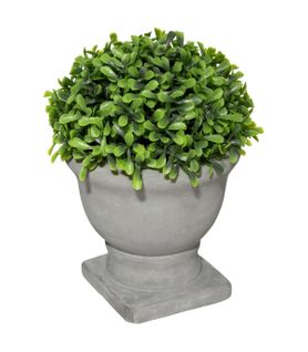 Plante Artificielle Buis En Pot D 14 X H 19 Cm