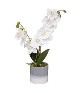 Plante Artificielle Orchidée Dans Un Pot En Céramique Bicolore H 45 Cm