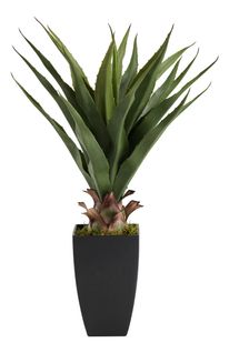 Plante artificielle H73 cm AGAVE Noir / Vert
