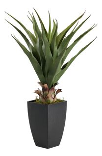 Plante artificielle H73 cm AGAVE Noir / Vert