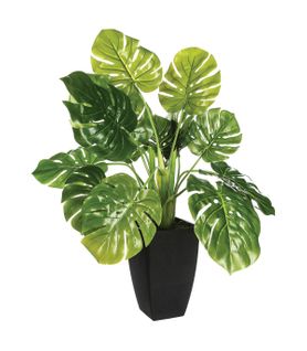 Plante Artificielle Philodendron En Pot H 70 Cm