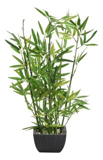 Plante artificielle H70 cm BAMBOU Vert