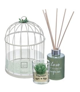 Coffret Senteur Eucalyptus Zen Cage En Métal , Diffuseur De Parfum Et Bougie Parfumée