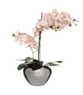 Plante Artificielle Orchidée Rose Pot En Céramique Argenté H 56 Cm