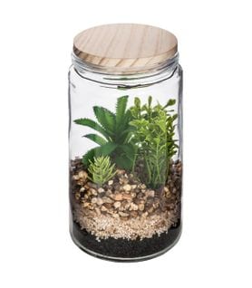 Plante Artificielle Terrarium En Verre Et Bois H 22 Cm