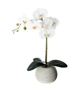 Plante Artificielle Orchidée Dans Pot En Céramique H 50 Cm