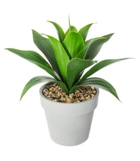 Plante Artificielle Aloe Vera En Pot H 34 Cm