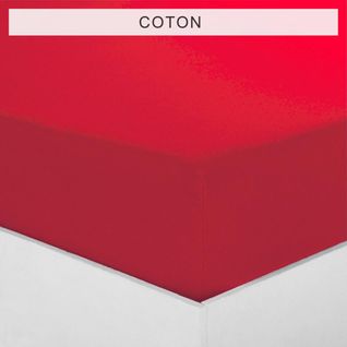 Drap-housse Coton Tertio® -120 X 190