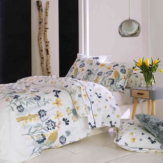 Housse De Couette 260x240 Cm Percale Pur Coton Petite Folie Bleu