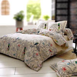 Drap Plat 180x290 Cm Coton Amazonia Ecru