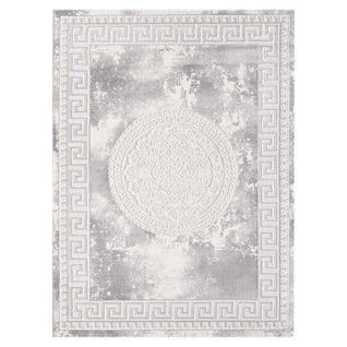 Tapis Oriental 80x300 Rectangle Gris Clair Tissé Motif Ancestral Alan