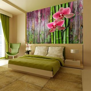 Papier Peint Plantes Zen 200 X 154 Cm Vert