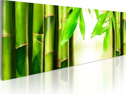 Tableau Portail En Bambou Panoramique 120 X 40 Cm Vert