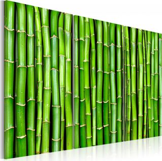Tableau Mur De Bambou 60 X 40 Cm Vert