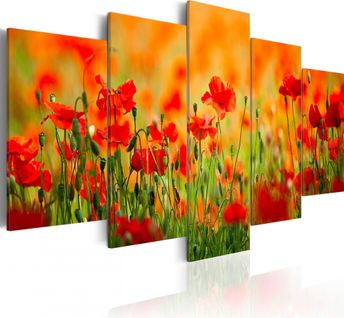 Tableau Coquelicots Aux Couleurs Vives 200 X 100 Cm Rouge