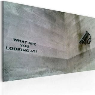 Tableau Qu'est-ce Que Tu Regardes ?, Banksy 60 X 40 Cm Gris