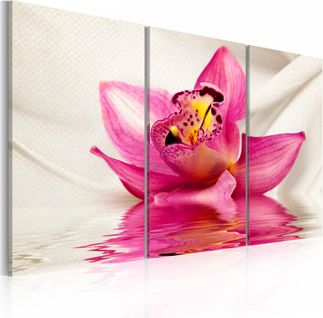 Tableau Orchidée Insolite - Triptyque 120 X 80 Cm Rose
