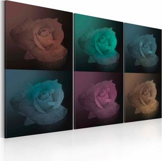 Tableau Rose En Six Couleurs 120 X 80 Cm Noir