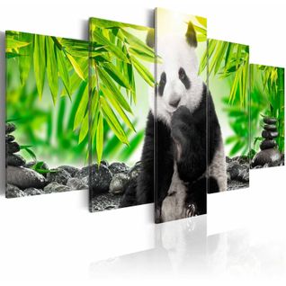 Tableau Doux Petit Panda 200 X 100 Cm Vert