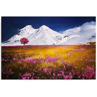 Tableau Alpes 80 X 60 Cm Rose