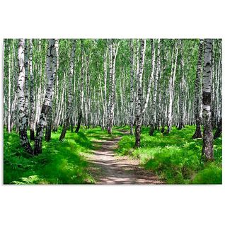 Tableau Forêt De Bouleaux 2 50 X 40 Cm Vert