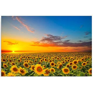 Tableau Paysage Tournesols 100 X 70 Cm Jaune