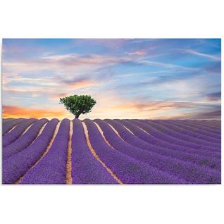 Tableau Champ De Lavande 40 X 30 Cm Violet