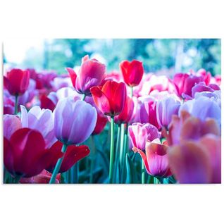 Tableau Parmi Les Tulipes 80 X 60 Cm Rose